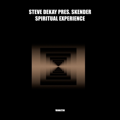 Steve Dekay pres. Skender - Spiritual Experience [VANALT36]